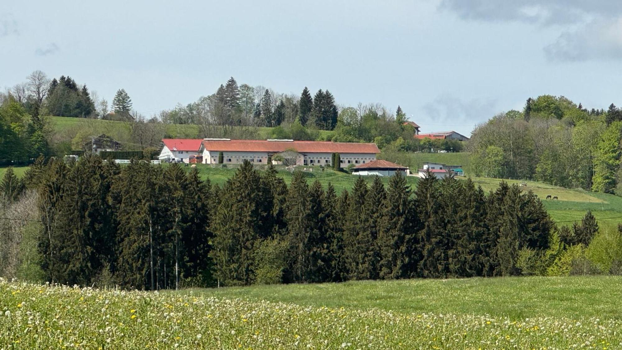 Gut Buchenhof Apartamento Buchenberg  Exterior foto